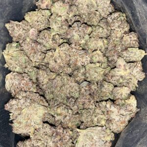 AAAA PURPLE AFGHAN LSO