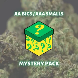 AA BIGS / AAA SMALLS MYSTERY PACK
