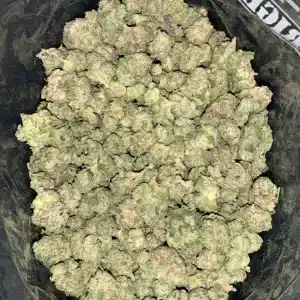 AAA+ BANANA CREAM MARKER SMALLS