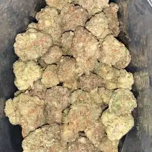 AAA+ GELATO ZKITTLEZ