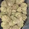 AAA+ MASTER TUNA KUSH