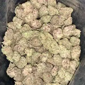 AAA+ OREO BIG STUFF MEDIUMS