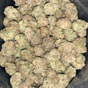 AAA+ OREO STOMPER MEDIUMS