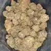 AAA+ PEANUT BUTTER BREATH