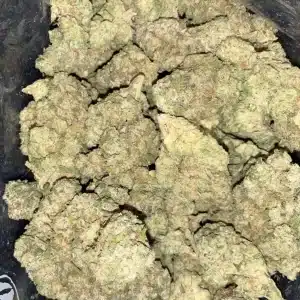 AAA+ PERMANENT MARKER