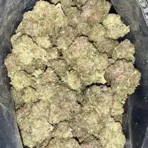 AAA+ SFV OG