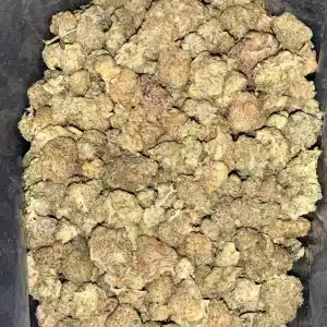 AAA SHERBOOZKA SMALLS