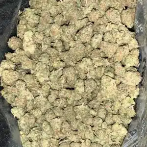 AAA+ SWEET SKUNK SMALLS