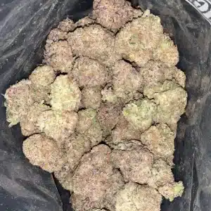 AAA+ WEDDING CRASHER