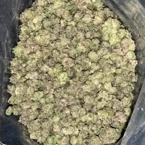 AAAA AIRSIDE OG MICRO SMALLS