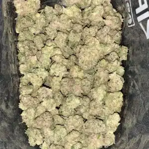 AAAA GELATO ZKITTLEZ SMALLS BY GREEN VALLEY