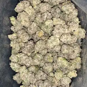 AAAA+ PETROLEUM BISCOTTI SMALLS BY PREMIUM PACKZ