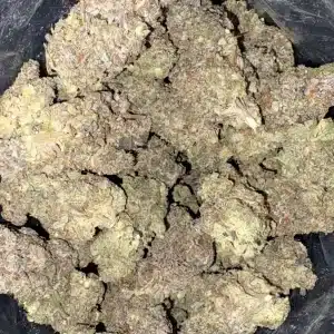 AAAA STRAWBERRY GARRY