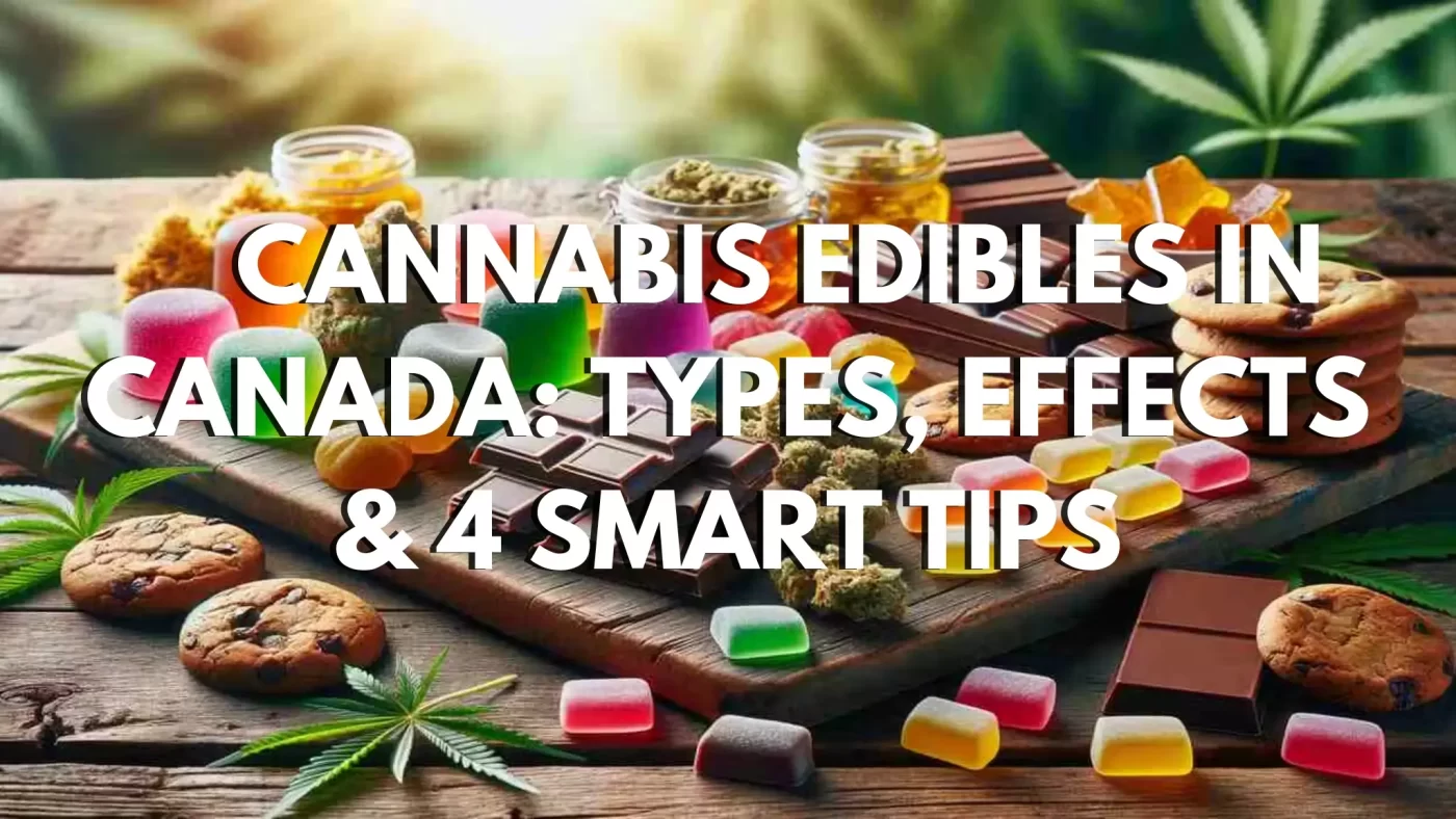 Cannabis Edibles in Canada: Types, Effects & 4 Smart Tips 4 Cannabis Edibles in Canada Types, Effects & 4 Smart Tips