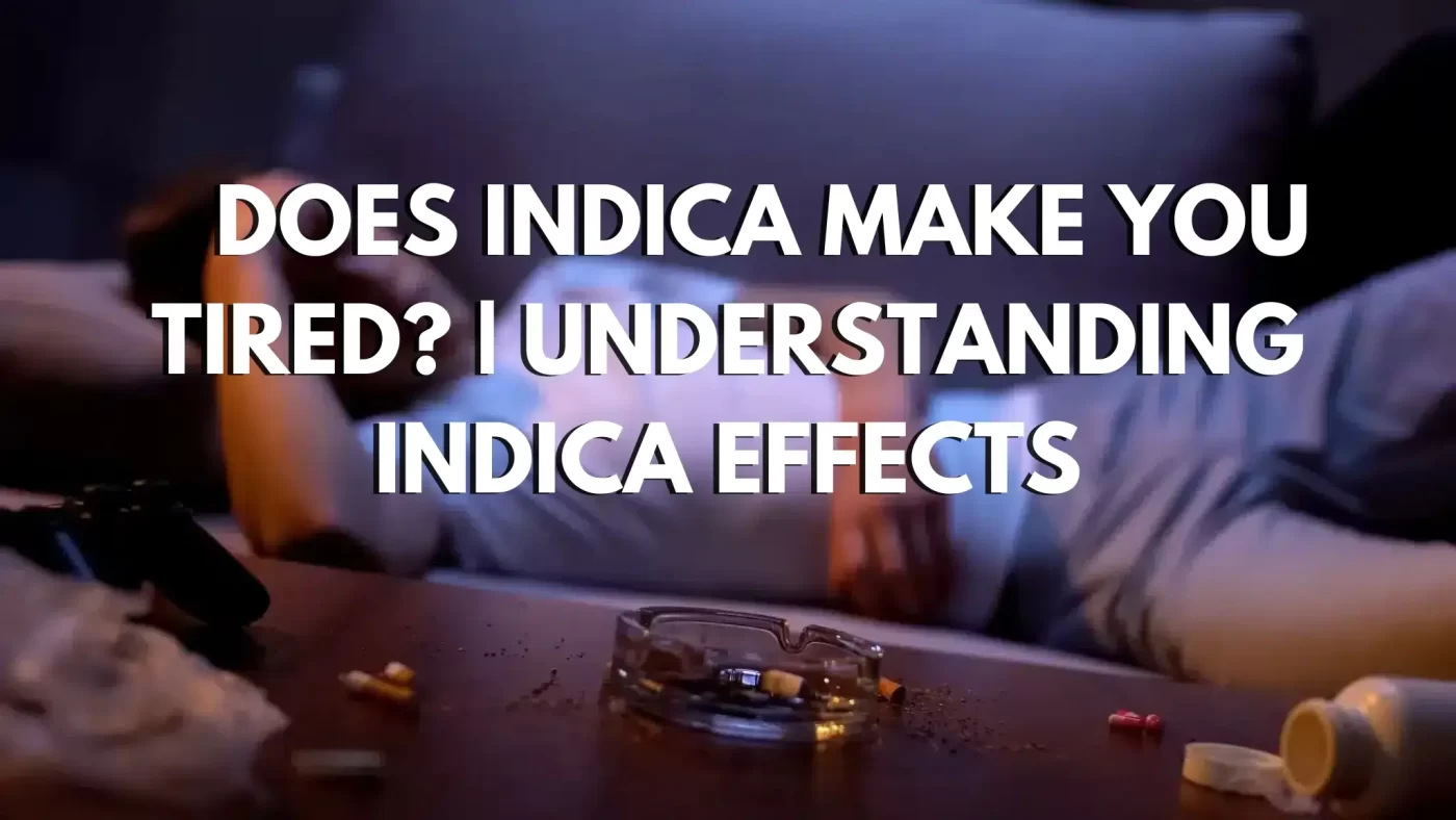 Does Indica Make You Tired? | Understanding Indica Effects 2 Does Indica Make You Tired Understanding Indica Effects