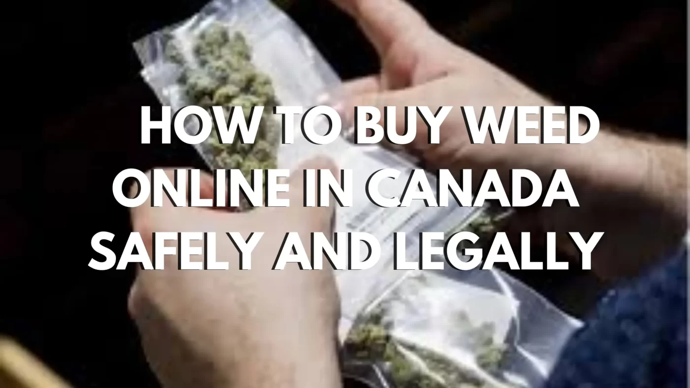 How to Buy Weed Online in Canada Safely and Legally 5 How to Buy Weed Online in Canada Safely and Legally