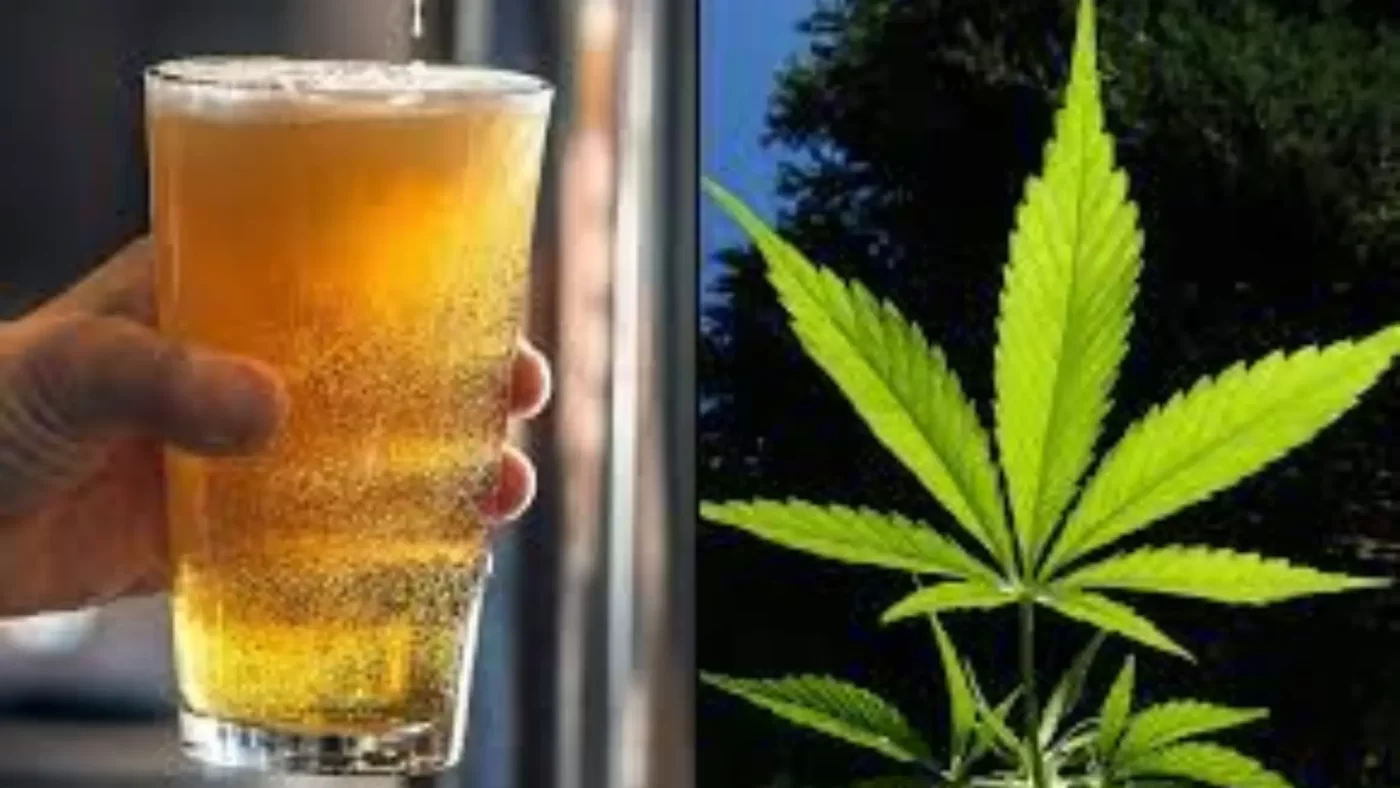 Marijuana vs Alcohol: Is Cannabis Better for Health in Canada? 2 Understanding Alcohol and Cannabis
