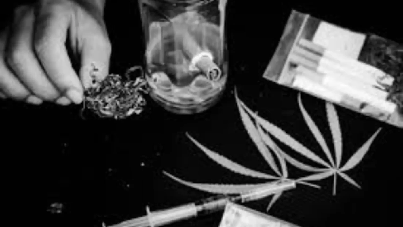 What Happens After Smoking Too Much Weed – Effects & Recovery Guide 2 Understanding “Too Much Weed”