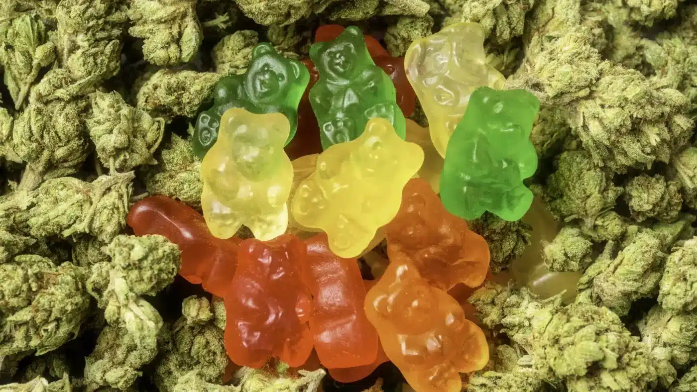 Cannabis Edibles in Canada: Types, Effects & 4 Smart Tips 2 What Are Edibles?