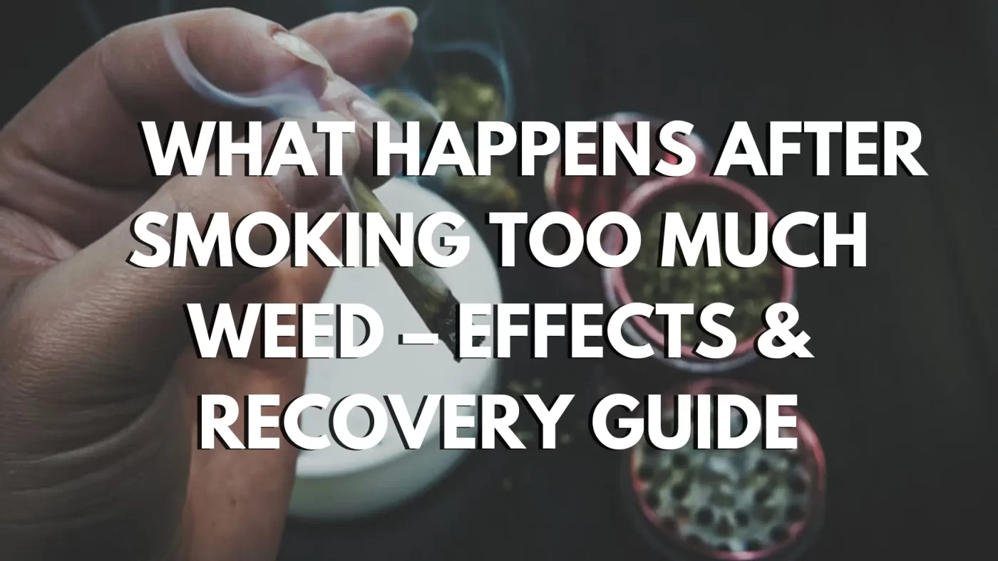 What Happens After Smoking Too Much Weed – Effects & Recovery Guide 1 What Happens After Smoking Too Much Weed – Effects & Recovery Guide