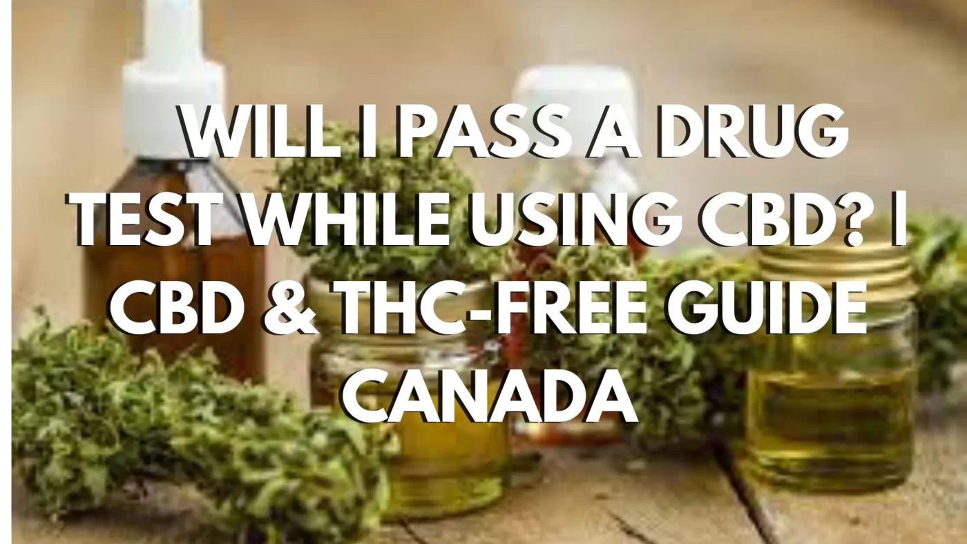 Will I Pass a Drug Test While Using CBD? | CBD & THC-Free Guide Canada 3 Will I Pass a Drug Test While Using CBD CBD & THC-Free Guide Canada