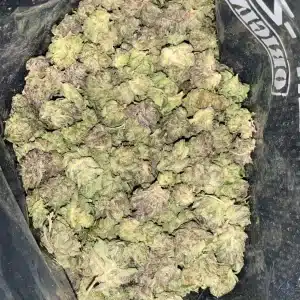 AAA+ BLACK TUNA SMALLS