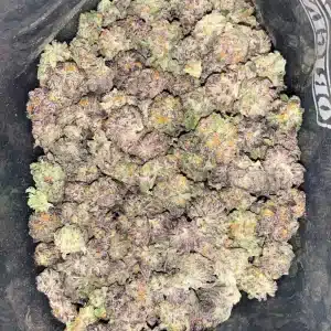 AAA+ BUBBLEGUM MARKER SMALLS