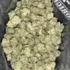 AAA+ GORILLA OG SMALLS