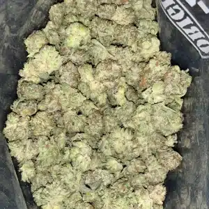 AAA+ GORILLA OG SMALLS