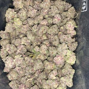 AAA+ PURPLE PUNCH MEDIUMS