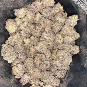 AAAA BUBBLEGUM MEDIUMS