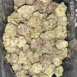 Candy Code Red Mediums