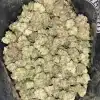 Wholesale 17 AAAA CREAM CAKEZ SMALLS BY GREEN VALLEY