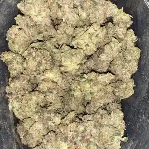 AAAA+ GIRL SCOUT COOKIES