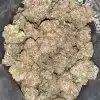 AAAA+ HOLY GRAIL