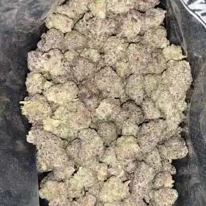 AAAA KING JUICE MEDIUMS