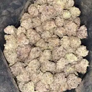 AAAA OREO BIG STUFF MEDIUMS