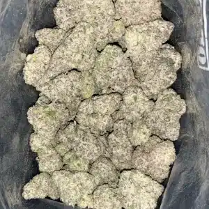 AAAA PETROLEUM BISCOTTI