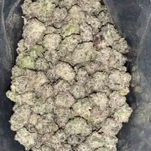 AAAA PETROLEUM OG MEDIUMS