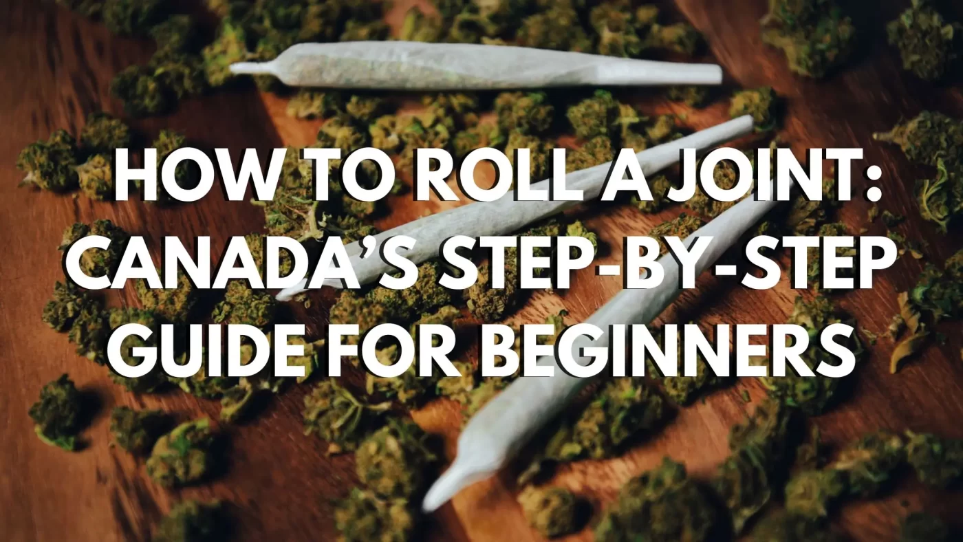 How To Roll a Joint: Canada’s Step-By-Step Guide for Beginners 2 How To Roll a Joint Canada’s Step-By-Step Guide for Beginners