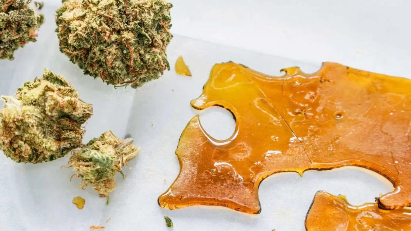 How to Make Shatter: Complete Guide 2 Shatter vs Other Cannabis Concentrates
