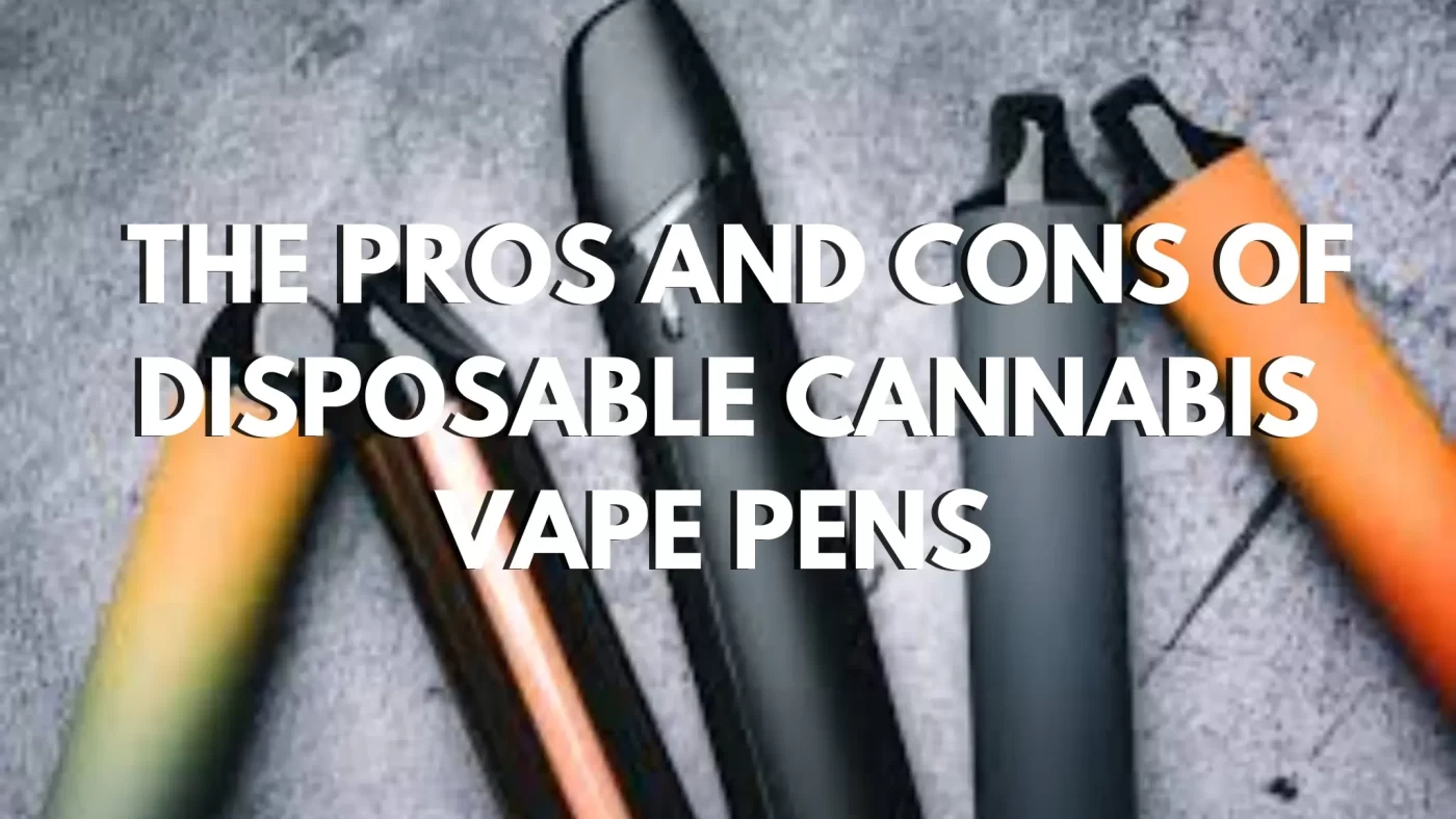 The Pros and Cons of Disposable Cannabis Vape Pens 6 The Pros and Cons of Disposable Cannabis Vape Pens