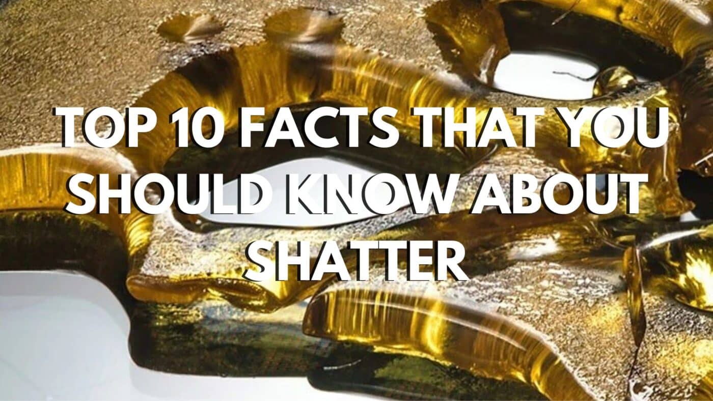 Top 10 Facts That You Should Know About Shatter 5 Top 10 Facts That You Should Know About Shatter