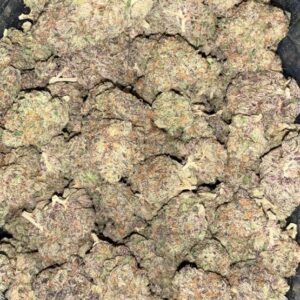 AAA+ JEALOUSY BY EXO FUEL