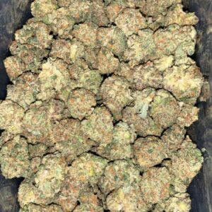 AAAA FROSTED FRUIT CAKE MEDIUMS BY SEED JUNKY