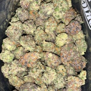 AAAA GRAPE STOMPER MEDIUMS BY GREEN VALLEY