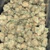 Wholesale 6 AAAA MAC DONUTZ SMALLS BY SEED JUNKY