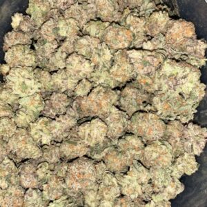 AAAA MALIBU MARKER SMALLS