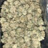Wholesale 5 AAAA PINK GUSHERZ SMALLS BY SEED JUNKY