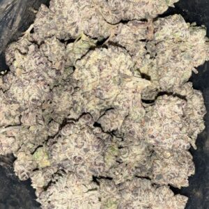 AAAA PURPLE FREEZER BY PREMIUM PACKZ